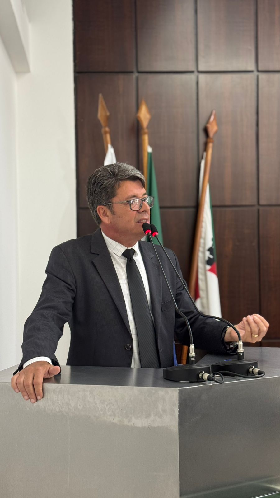 Câmara aprova em primeiro turno projeto que regulamenta a arborização urbana em João Monlevade.