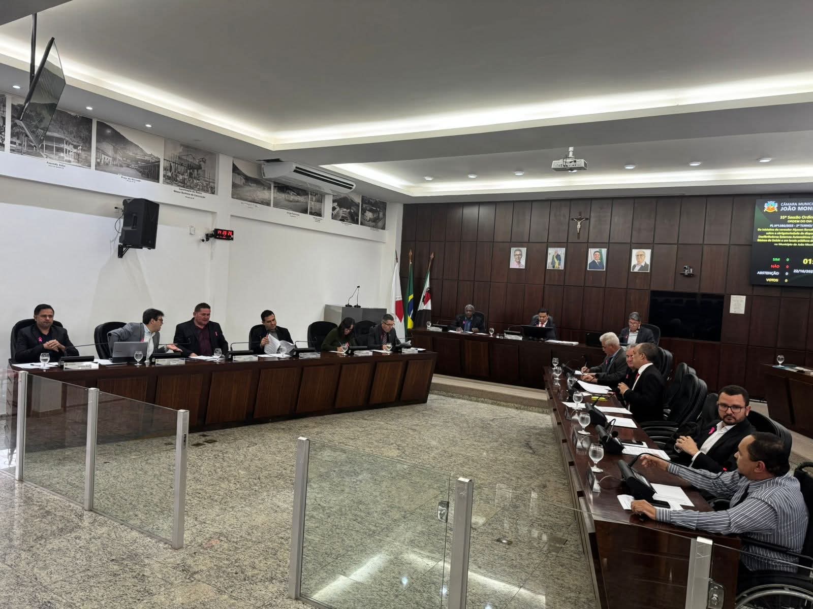 Câmara aprova em primeiro turno projeto que regulamenta a arborização urbana em João Monlevade.