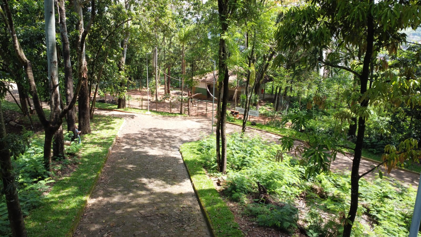 Curso gratuito de Operação e Manutenção de Motosserra será realizado em João Monlevade.