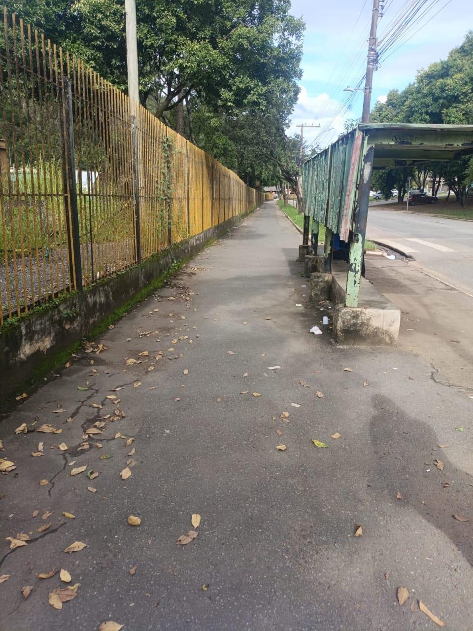 Revitalização da pista de caminhada e ciclovia da avenida Wilson Alvarenga começa na próxima semana.