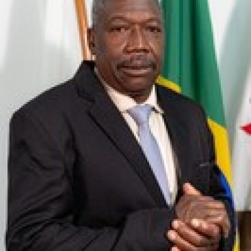 Árvore com risco de queda mobiliza vereador e Secretaria de Meio Ambiente no Cruzeiro Celeste, em João Monlevade.