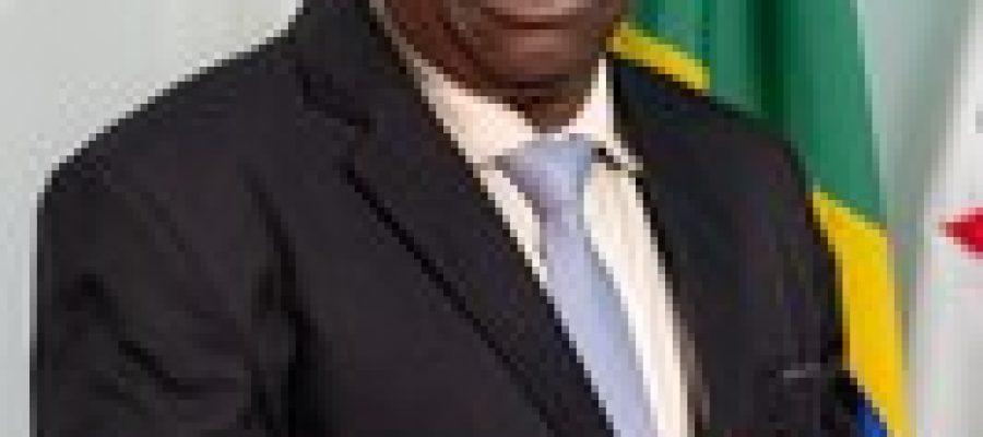 Árvore com risco de queda mobiliza vereador e Secretaria de Meio Ambiente no Cruzeiro Celeste, em João Monlevade.