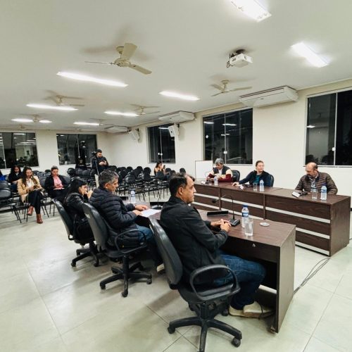 Consulta Pública No legislativo na cidade do rio piracicaba.
