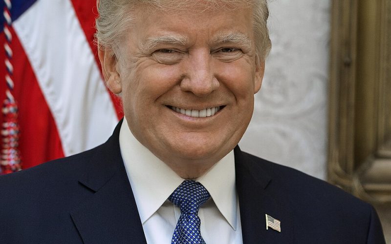 Official portrait of President Donald J. Trump, Friday, October 6, 2017.  (Official White House photo by Shealah Craighead)