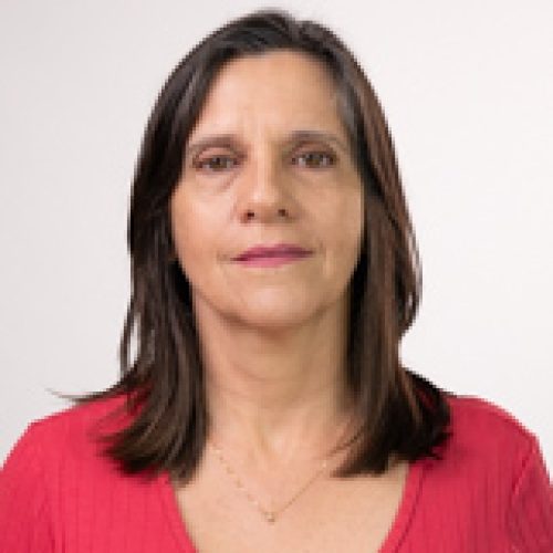 Câmara de João Monlevade aprova realização de audiência pública para discutir jornada de trabalho em turnos na ArcelorMittal.