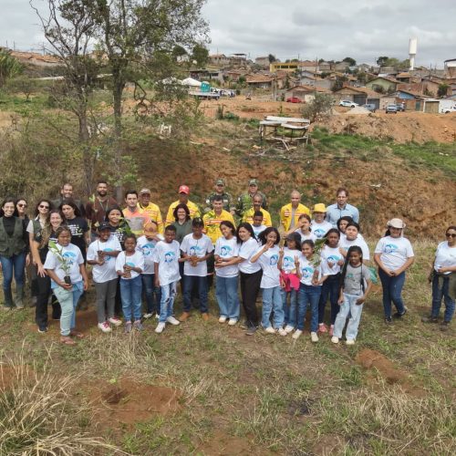 João Monlevade realiza plantio de 300 mudas na nascente do bairro Planalto.