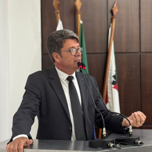 Câmara aprova em primeiro turno projeto que regulamenta a arborização urbana em João Monlevade.