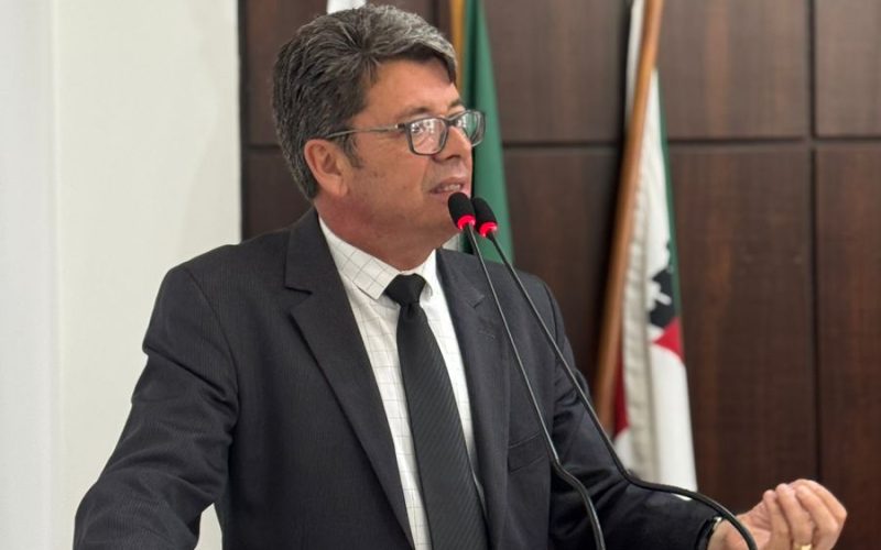 Câmara aprova em primeiro turno projeto que regulamenta a arborização urbana em João Monlevade.