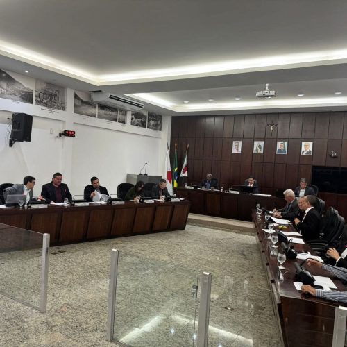 Câmara aprova em primeiro turno projeto que regulamenta a arborização urbana em João Monlevade.