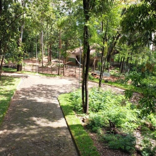 Curso gratuito de Operação e Manutenção de Motosserra será realizado em João Monlevade.