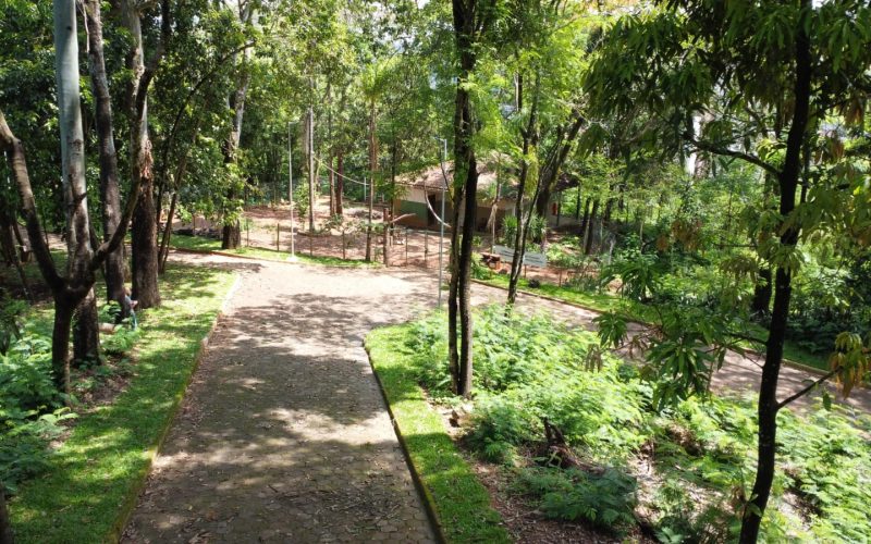 Curso gratuito de Operação e Manutenção de Motosserra será realizado em João Monlevade.