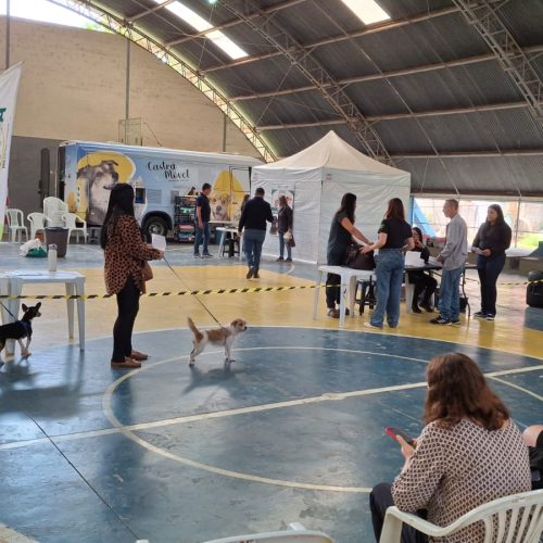 Castramóvel retorna a João Monlevade com nova etapa de castrações gratuitas.