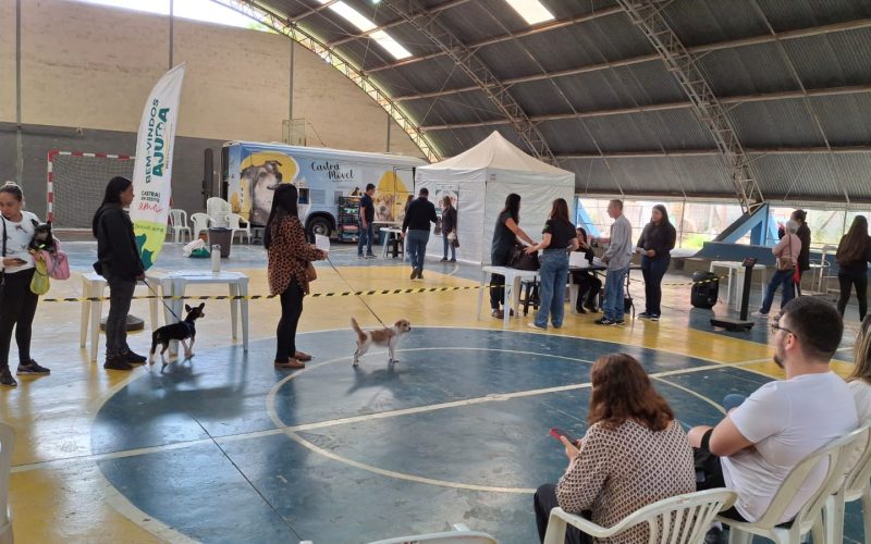 Castramóvel retorna a João Monlevade com nova etapa de castrações gratuitas.