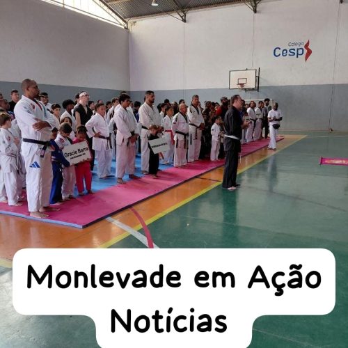 Festival de Artes Marciais reúne 350 atletas em João Monlevade.