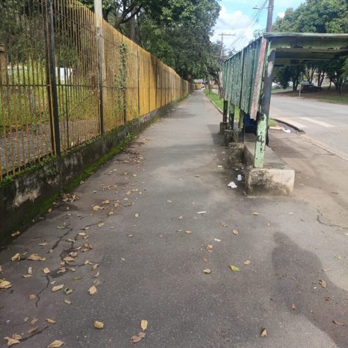 Revitalização da pista de caminhada e ciclovia da avenida Wilson Alvarenga começa na próxima semana.