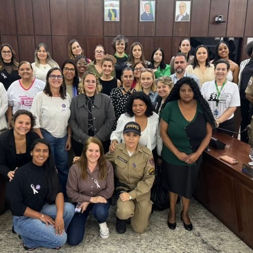 Audiência pública debate criação da Casa de Proteção à Mulher e fortalecimento da rede de enfrentamento à violência em João Monlevade.