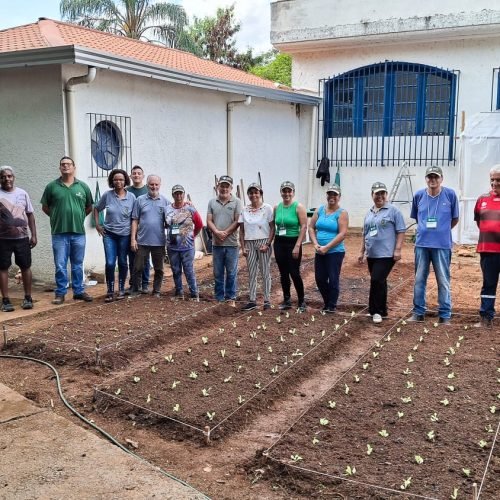 Prefeitura de João Monlevade implanta horta comunitária na Casa de Convivência Espaço Bem Viver.